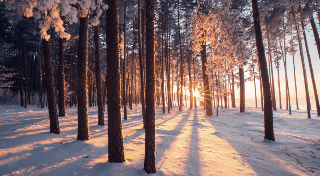 フィンランド人　友達　注意点