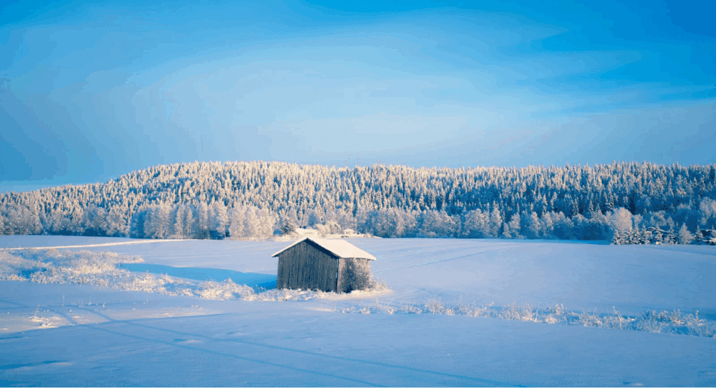フィンランドの冬の環境