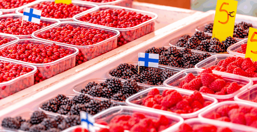 フィンランドワーホリでベリーピッキングや農家の仕事