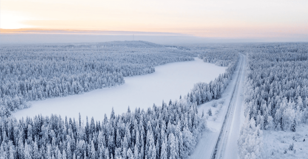 フィンランドが差別的だと言われる理由